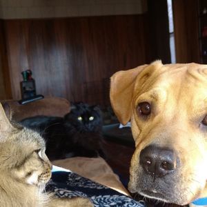 Meet your Posher, Sally